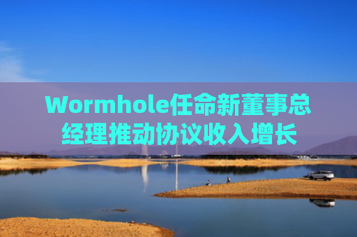 Wormhole任命新董事总经理推动协议收入增长-第1张图片-大猪科技网