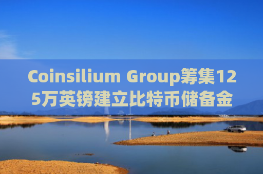 Coinsilium Group筹集125万英镑建立比特币储备金库-第1张图片-大猪科技网