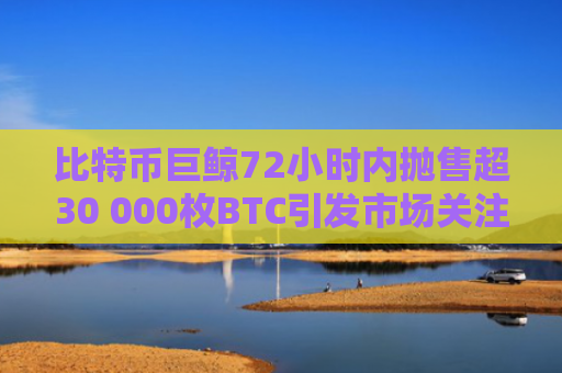 比特币巨鲸72小时内抛售超30 000枚BTC引发市场关注-第1张图片-大猪科技网