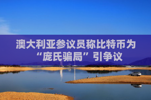 澳大利亚参议员称比特币为“庞氏骗局”引争议-第1张图片-大猪科技网