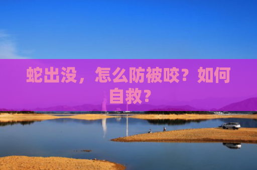 蛇出没，怎么防被咬？如何自救？-第1张图片-大猪科技网