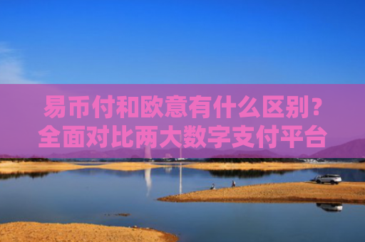 易币付和欧意有什么区别？全面对比两大数字支付平台