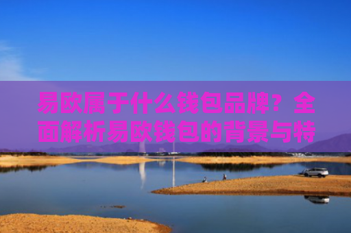 易欧属于什么钱包品牌？全面解析易欧钱包的背景与特点