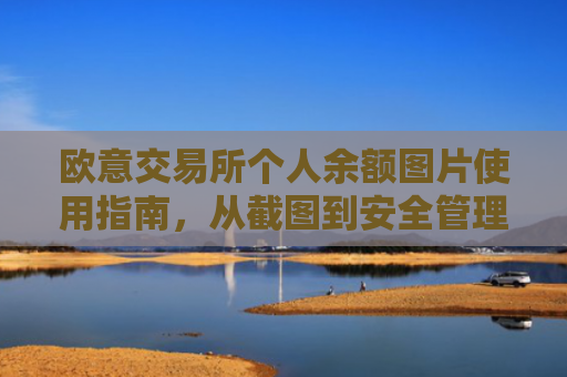 欧意交易所个人余额图片使用指南，从截图到安全管理的全面解析