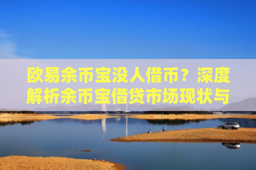 欧易余币宝没人借币？深度解析余币宝借贷市场现状与应对策略-第1张图片-大猪科技网