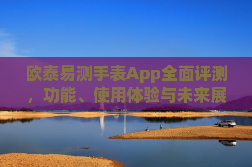 欧泰易测手表App全面评测，功能、使用体验与未来展望