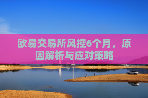 欧易交易所风控6个月，原因解析与应对策略