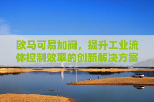欧马可易加阀，提升工业流体控制效率的创新解决方案