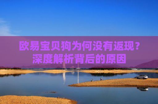欧易宝贝狗为何没有返现？深度解析背后的原因