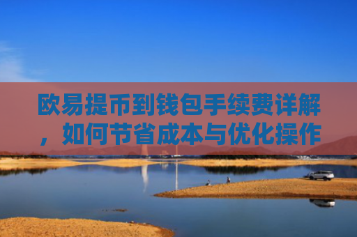 欧易提币到钱包手续费详解，如何节省成本与优化操作