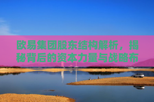 欧易集团股东结构解析，揭秘背后的资本力量与战略布局-第1张图片-大猪科技网