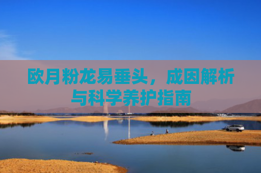 欧月粉龙易垂头，成因解析与科学养护指南