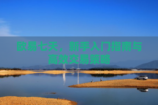 欧易七天，新手入门指南与高效交易策略