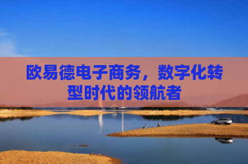 欧易德电子商务，数字化转型时代的领航者