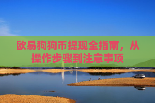 欧易狗狗币提现全指南，从操作步骤到注意事项-第1张图片-大猪科技网