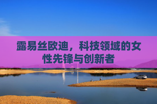 露易丝欧迪，科技领域的女性先锋与创新者