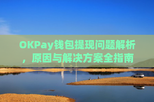 OKPay钱包提现问题解析，原因与解决方案全指南