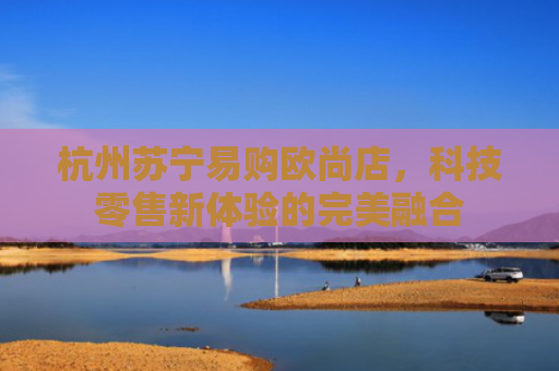 杭州苏宁易购欧尚店，科技零售新体验的完美融合