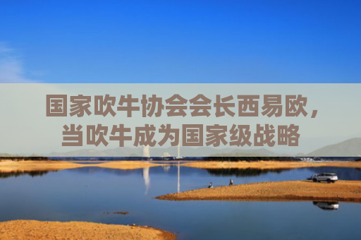 国家吹牛协会会长西易欧，当吹牛成为国家级战略