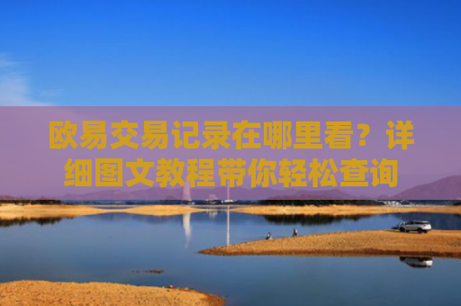 欧易交易记录在哪里看？详细图文教程带你轻松查询