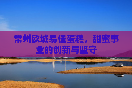 常州欧城易佳蛋糕，甜蜜事业的创新与坚守-第1张图片-大猪科技网