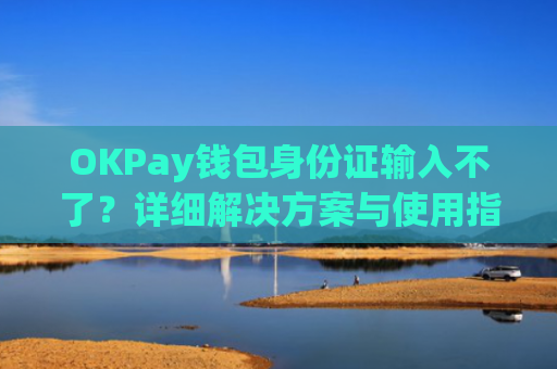 OKPay钱包身份证输入不了？详细解决方案与使用指南-第1张图片-大猪科技网