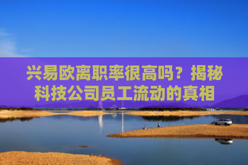兴易欧离职率很高吗？揭秘科技公司员工流动的真相-第1张图片-大猪科技网