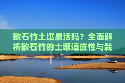 欧石竹土壤易活吗？全面解析欧石竹的土壤适应性与栽培技巧