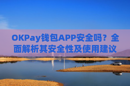 OKPay钱包APP安全吗？全面解析其安全性及使用建议-第1张图片-大猪科技网
