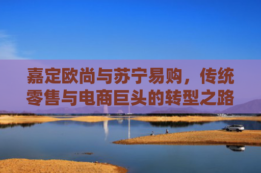 嘉定欧尚与苏宁易购，传统零售与电商巨头的转型之路