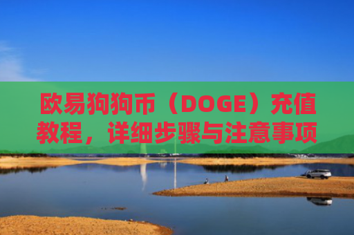 欧易狗狗币（DOGE）充值教程，详细步骤与注意事项