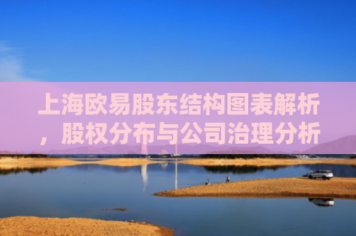 上海欧易股东结构图表解析，股权分布与公司治理分析