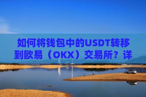 如何将钱包中的USDT转移到欧易（OKX）交易所？详细教程-第1张图片-大猪科技网