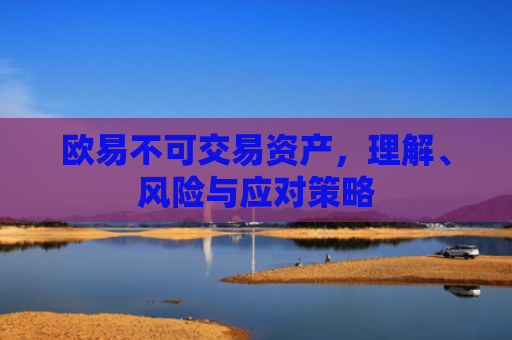 欧易不可交易资产，理解、风险与应对策略