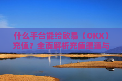 什么平台能给欧易（OKX）充值？全面解析充值渠道与操作指南-第1张图片-大猪科技网