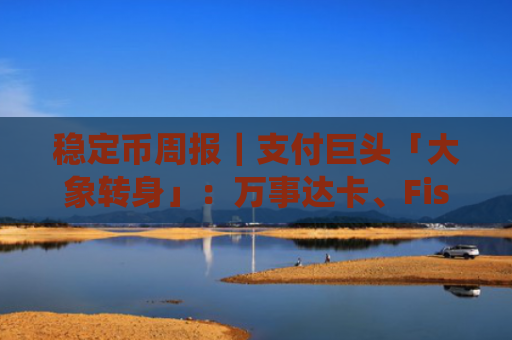 稳定币周报｜支付巨头「大象转身」：万事达卡、Fiserv 为何拥抱稳定币，传统卡组织护城河将被如何改写？