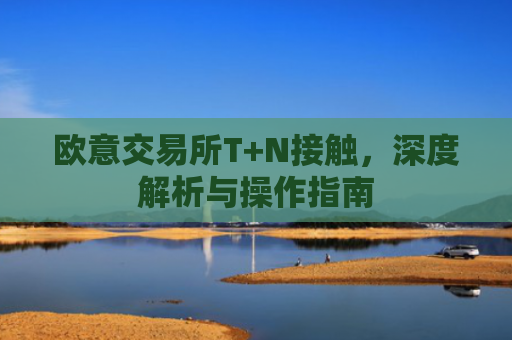 欧意交易所T+N接触，深度解析与操作指南
