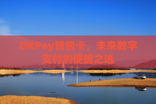 OKPay钱包卡，未来数字支付的便捷之选