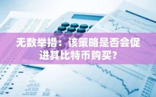 无数举措：该策略是否会促进其比特币购买？