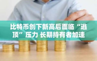 比特币创下新高后面临“逃顶”压力 长期持有者加速获利了结