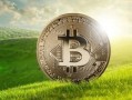 QTUM量子币是什么？QTUM币价格预测
