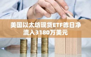 美国以太坊现货ETF昨日净流入3180万美元