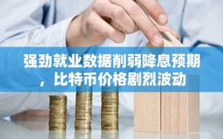 强劲就业数据削弱降息预期，比特币价格剧烈波动